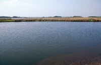 Wetlands about to become a Marina and Yacht Club thumbnail