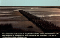Christmas Tree Bush Fences, Hammock Lake Wetland Protection thumbnail