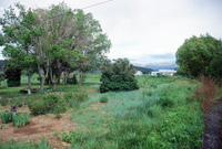 Landscapes and ostrich farm 014 thumbnail