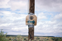 Logging protests 069 thumbnail