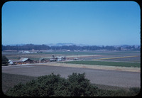 Coastal farms thumbnail