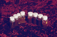 Pt. Mugu Wetlands thumbnail