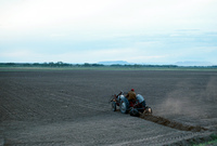 Gallegos farm, Plowing 008 thumbnail