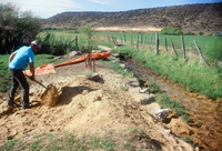 Kaber farm, Plowing and planting winter wheat 006 thumbnail