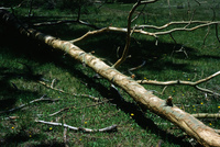 Mountain landscapes 022 thumbnail