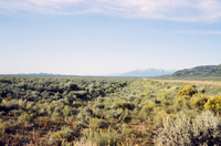 San Luis Valley farms 049 thumbnail