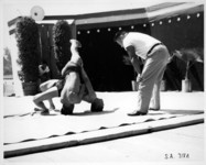 Wrestling. thumbnail