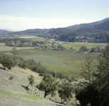 Leifers and Watkins Private Tour Freemark Abbey Winery thumbnail
