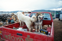 Colorado rural life 020 thumbnail