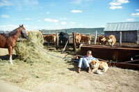 Farm animals and equipment 010 thumbnail
