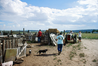 Kaber farm, Farming and a river 010 thumbnail