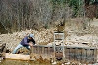 Maistas farm, Ditch and cattle 025 thumbnail
