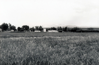 Martinez farm 003 thumbnail