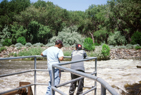 Montoya farm, Woodpile and the Rio Grande 015 thumbnail