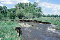 River and hay baling 002 thumbnail