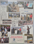 Thanks for Helping Save Ormond Beach Wetlands thumbnail