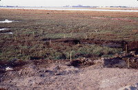 Pt. Mugu Wetlands thumbnail