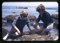[Students examining marine life] thumbnail