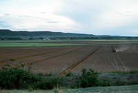Gallegos farm, Plowing 001 thumbnail