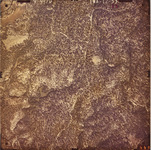 1970 EWA-12-53 [Fresno County, California, aerial survey, 1970] thumbnail