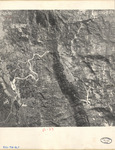 1950 ABI-19G-133 [Fresno County, California aerial survey, 1950] thumbnail