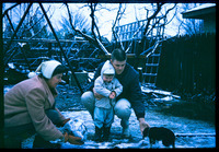 Pickfords with beagle thumbnail