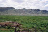 Coleman ranches 014 thumbnail