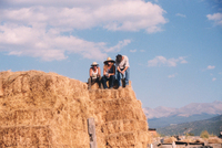 Kaber farm, Making chicos 011 thumbnail