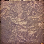 1970 EWA-14-123 [Fresno County, California, aerial survey, 1970] thumbnail