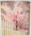 50 Untitled thumbnail