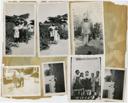 Photo Scrapbook Page thumbnail