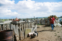 Kaber farm, Farming and a river 005 thumbnail
