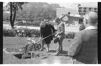 [Davidson Tree Planting] thumbnail