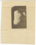 Thayer's grave in Trieste thumbnail