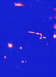 Ambulance outside of apartment, small fire at Neptunian Women's Club thumbnail