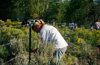 Kaber farm, Making chicos 044 thumbnail