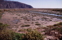 Pt. Mugu Wetlands thumbnail
