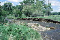 River and hay baling 004 thumbnail
