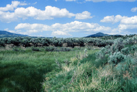 River and hay baling 018 thumbnail