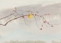 Fairmont & Del Mar thumbnail