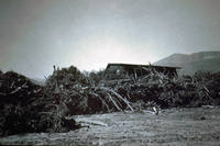 Fillmore, CA the Morning after the St. Francis Dam Disaster thumbnail