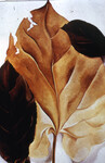 Brown and Tan Leaves thumbnail