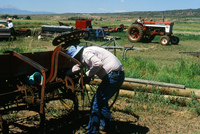 Kaber farm, Irrigating fields and mowing hay 001 thumbnail