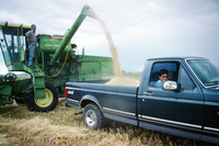 Kaber farm, Threshing oats and baling hay 020 thumbnail