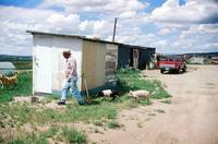 Kaber farm, Woodpile and fields 002 thumbnail