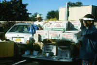 Picking and selling peas 024 thumbnail