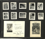 file details