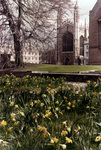 King's College, Cambridge thumbnail