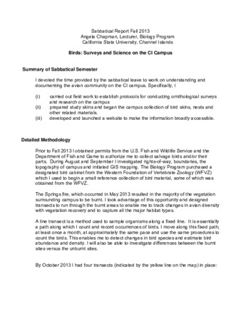 Sabbatical Report Fall 2013 thumbnail