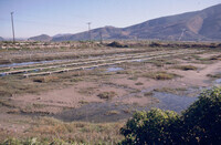 Pt. Mugu Wetlands thumbnail